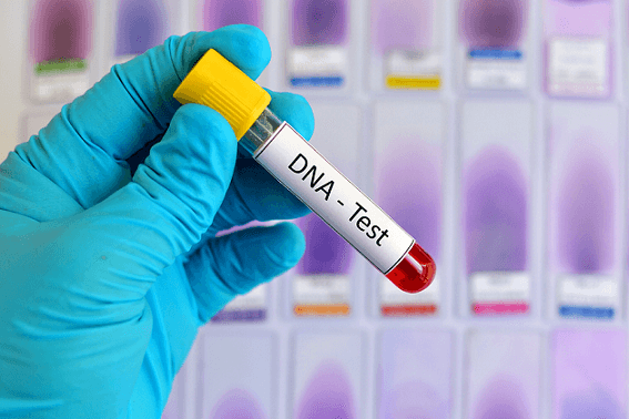 Smart DNA
