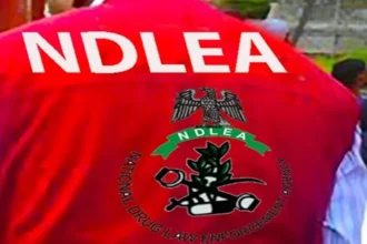 NDLEA