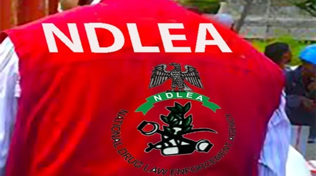 NDLEA